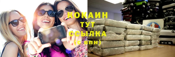 индика Майский