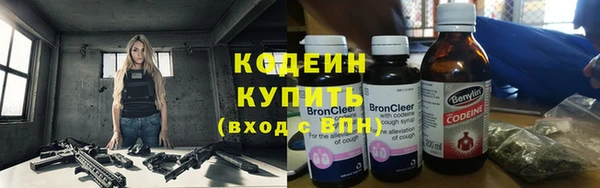 индика Майский