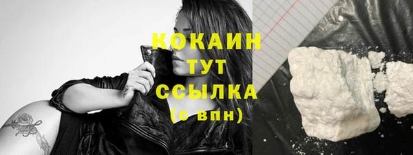 индика Майский