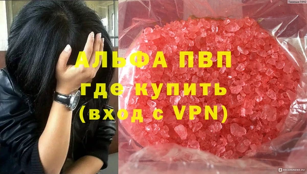 индика Майский
