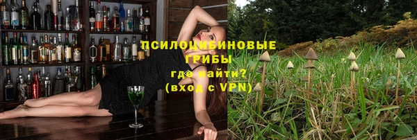 индика Майский