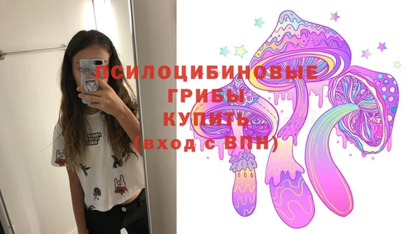 индика Майский