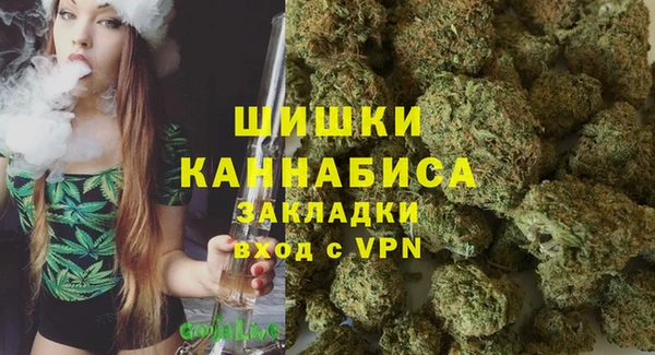 индика Майский